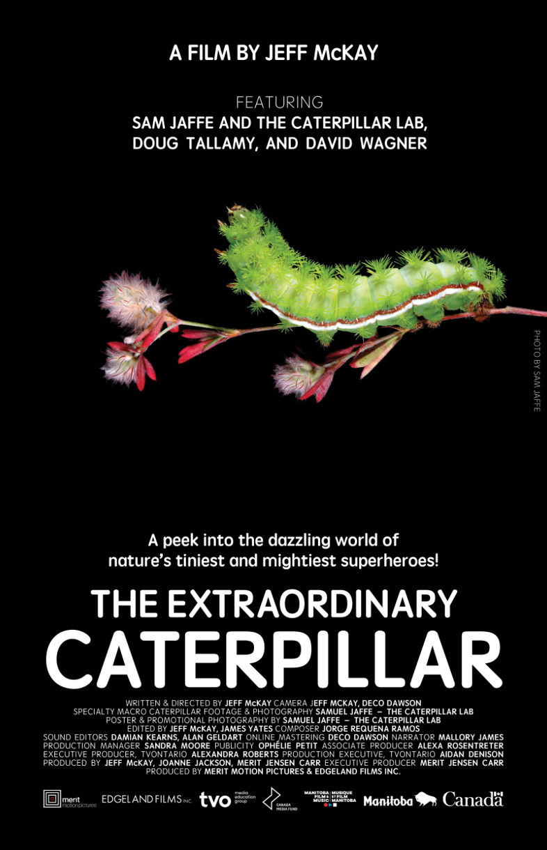 Movie poster for 'The Extraordinary Caterpillar' featuring a green caterpillar on a black background.
